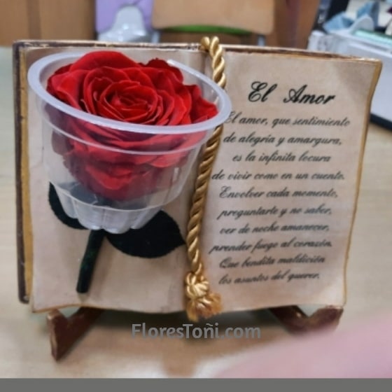 Ramo de 12 Rosas | Enviar Rosas Rojas | Flores Toñi